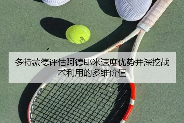 duo-te-meng-de-ping-gu-a-de-ye-mi-su-du-you-shi-bing-shen-wa-zhan-shu-li-yong-de-duo-wei-jia-zhi-2-213.jpg