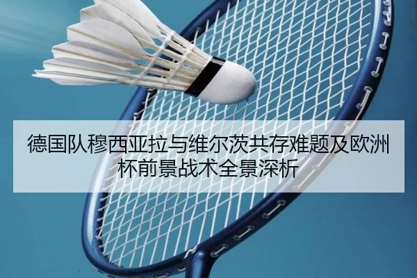 德国队穆西亚拉与维尔茨共存难题及欧洲杯前景战术全景深析