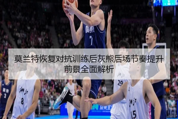 莫兰特恢复对抗训练后灰熊后场节奏提升前景全面解析