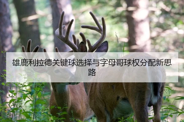 雄鹿利拉德关键球选择与字母哥球权分配新思路